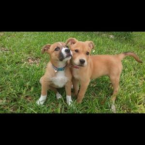 Meet your Posher, Cassandra